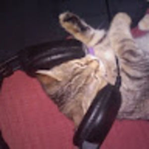 Meet your Posher, Dylan